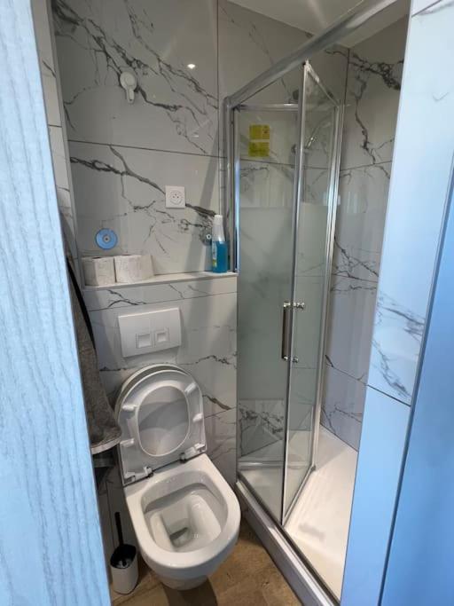 Appartement Super Studio En Face De La Gare De Mulhouse Extérieur photo